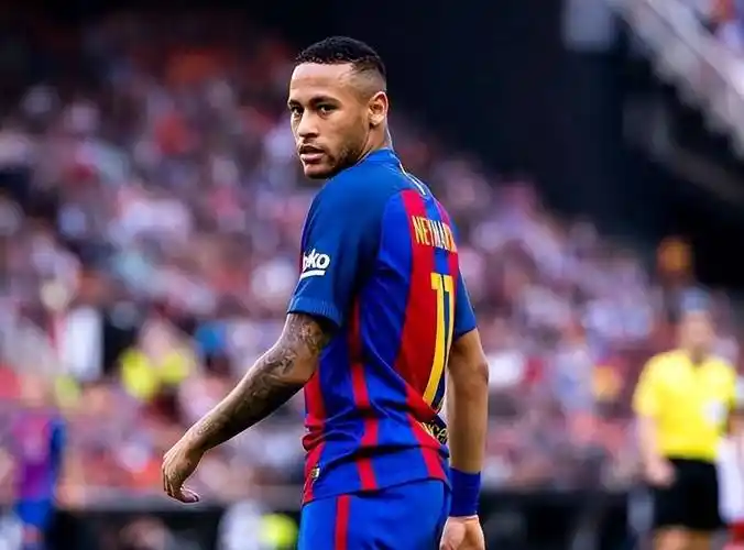 杂性和深思 杂性和深思